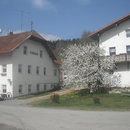 Gasthaus Zehrermuehle เชินแบร์ก ภายนอก รูปภาพ