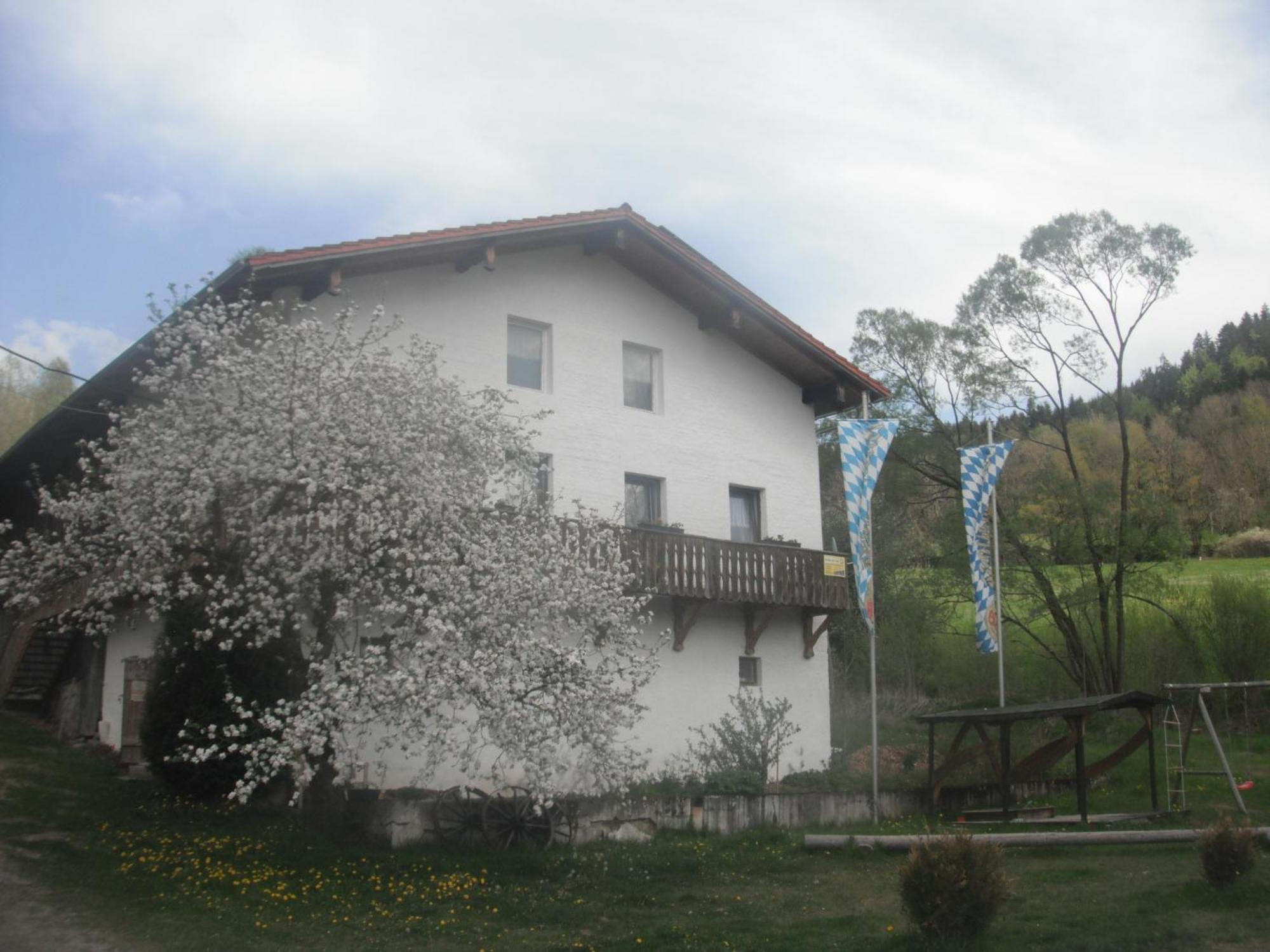 Gasthaus Zehrermuehle เชินแบร์ก ภายนอก รูปภาพ
