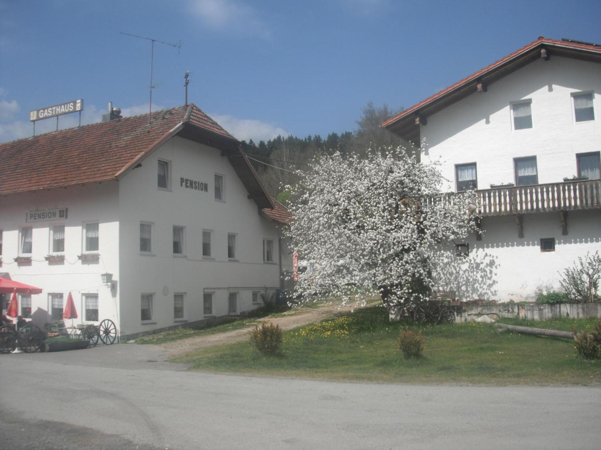 Gasthaus Zehrermuehle เชินแบร์ก ภายนอก รูปภาพ